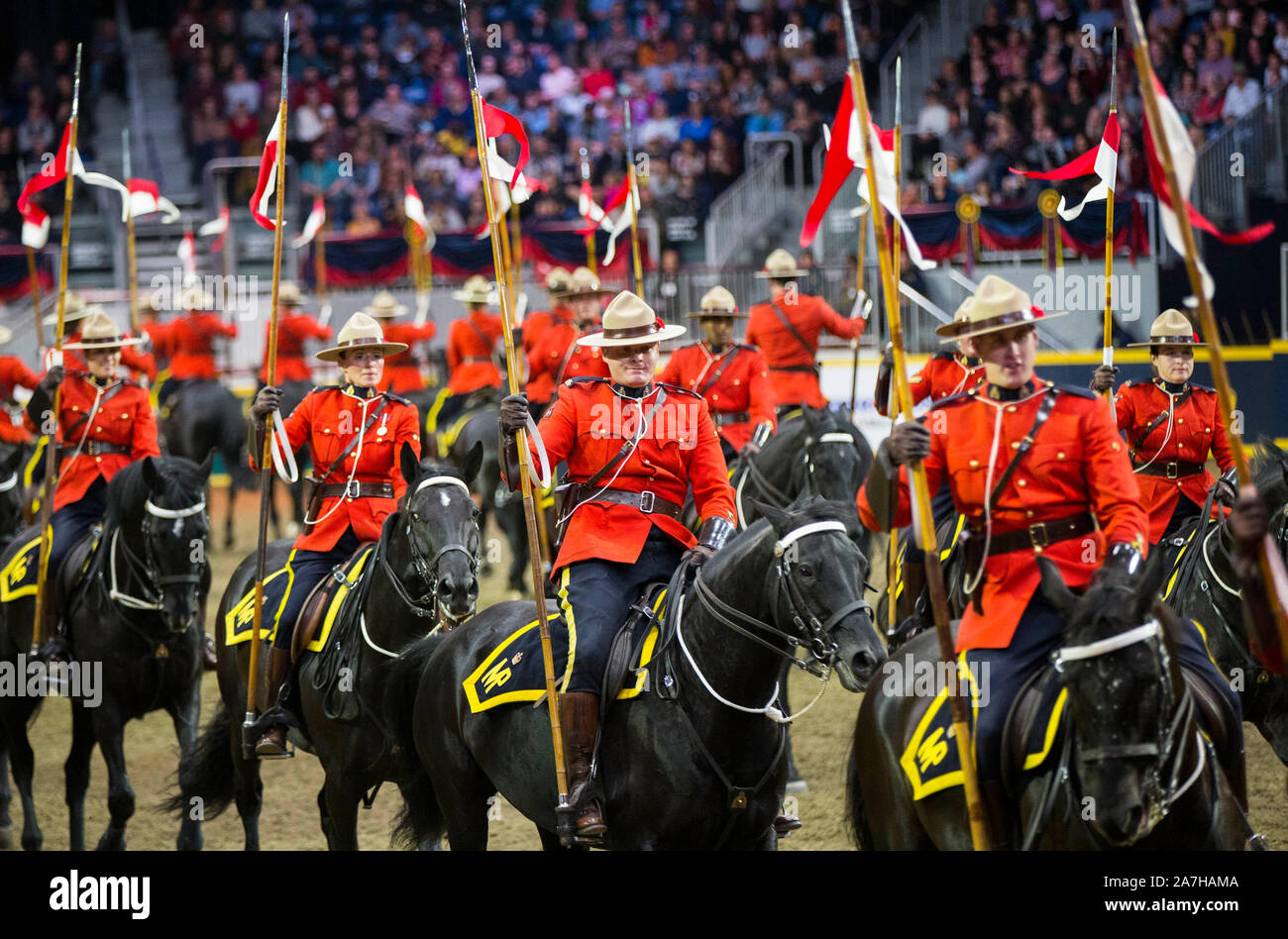 Toronto, Canada. 2° Nov, 2019. Membri della Royal Canadian polizia montata (GRC) eseguire durante l'RCMP Musical Ride al 2019 Royal Agricultural Winter Fair a Toronto in Canada il 9 novembre 2, 2019. Credito: Zou Zheng/Xinhua/Alamy Live News Foto Stock