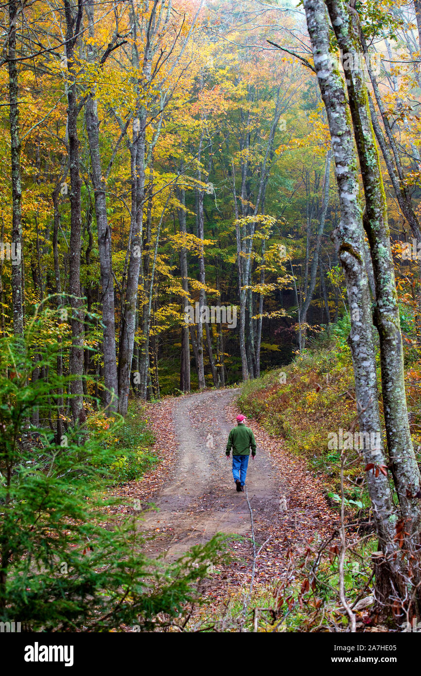 Uomo che cammina verso il basso di avvolgimento su strada di ghiaia in autunno - Nantahala National Forest, Canada, North Carolina, STATI UNITI D'AMERICA Foto Stock