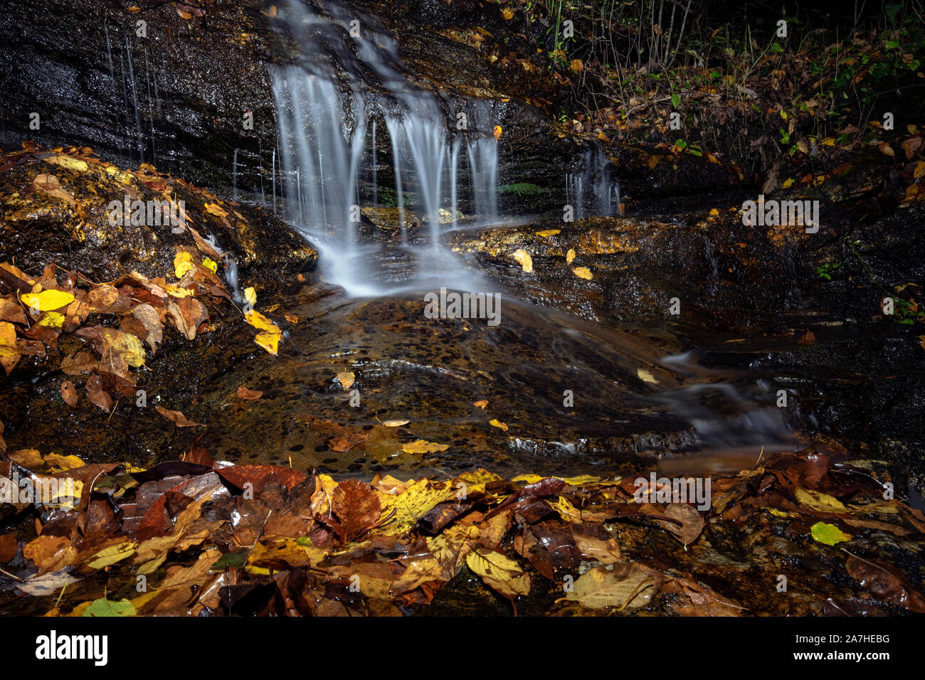Una piccola cascata off Avery Creek Trail in autunno (illuminata di notte) - Pisgah National Forest, Brevard, North Carolina, STATI UNITI D'AMERICA Foto Stock