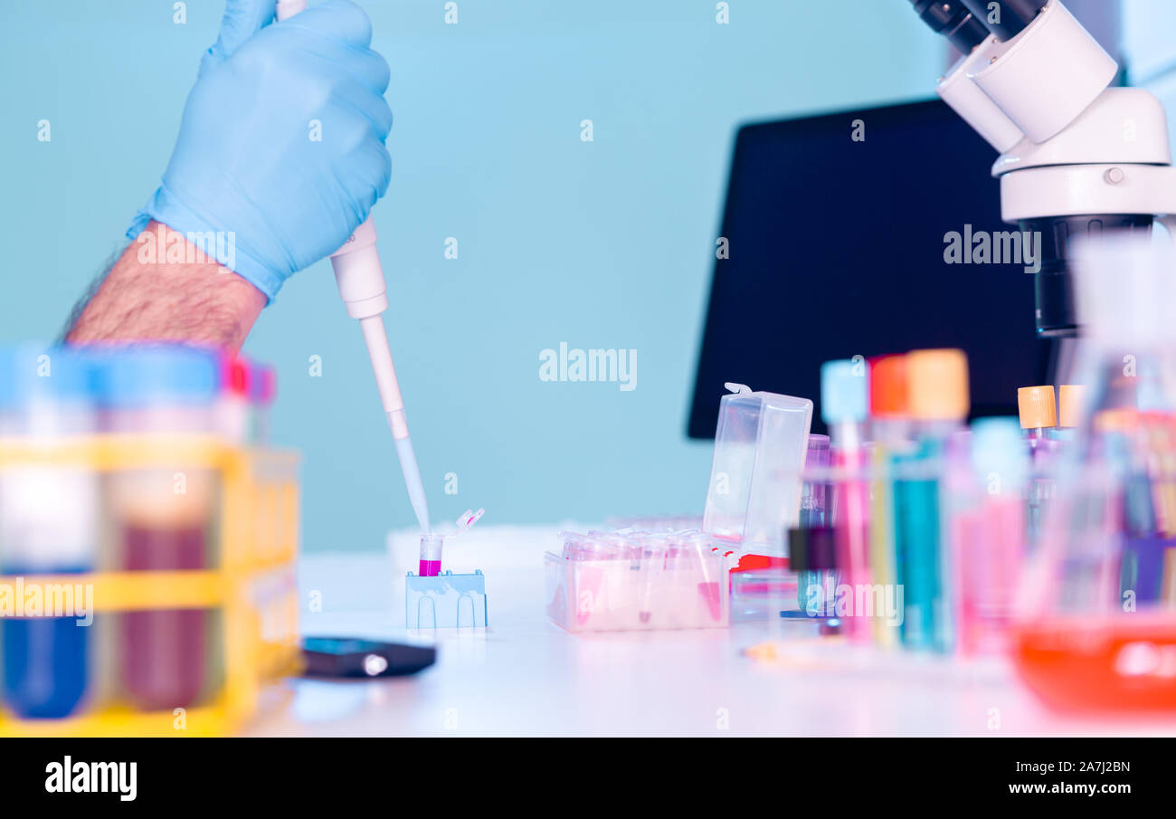 Laboratorio di ricerca genetica. Le piastre PCR e pipette multicanale Foto Stock