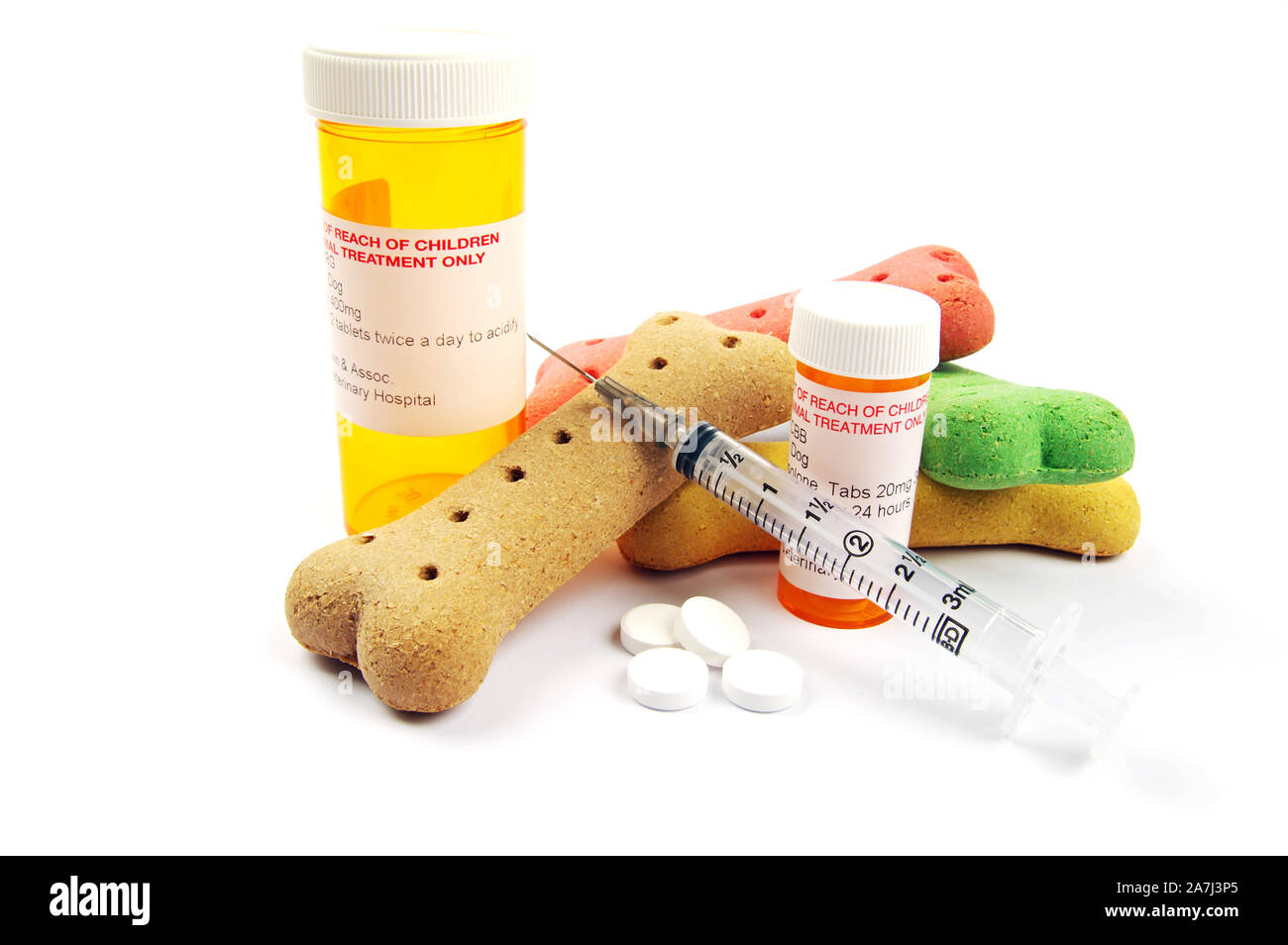 Medicazione di pet e colorato di ossa di cani su sfondo bianco Foto Stock
