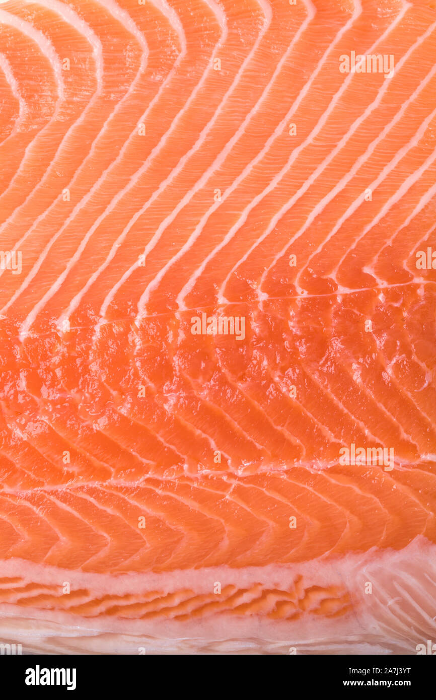 Fetta di crudo fresco rosa di filetto di salmone full frame close up Foto Stock