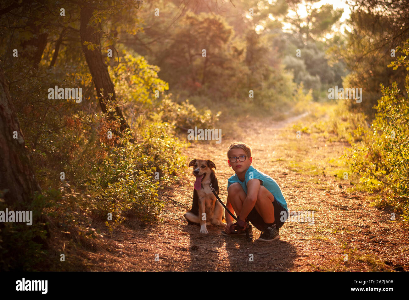 Ragazzo adolescente con il Cane su tre zampe in campagna seduto su un percorso di paese.Retroilluminato con luce d'autunno. Foto Stock