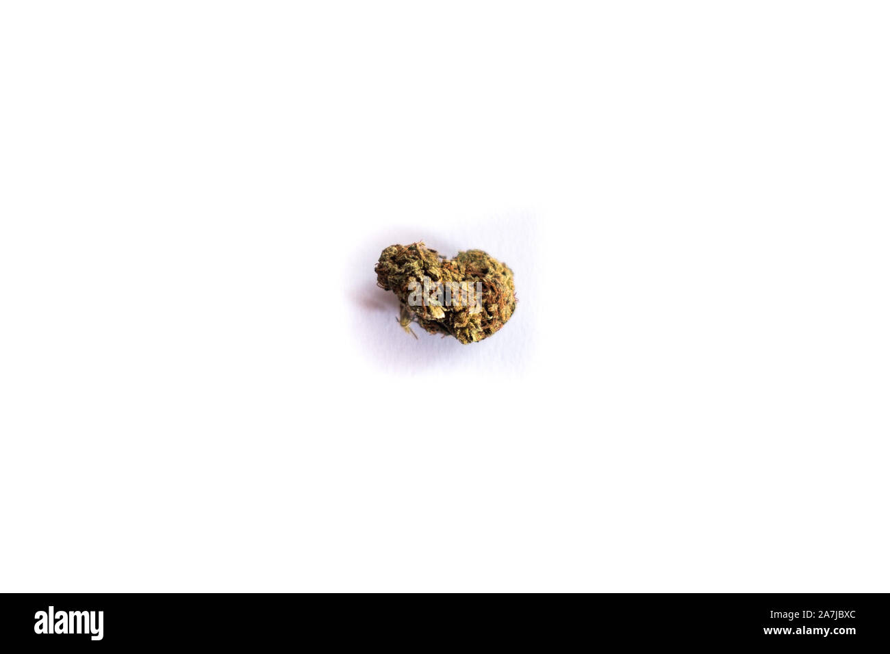 Vista macro di marijuana bud su sfondo bianco, pronto per essere affumicato su un giunto per uso medico Foto Stock