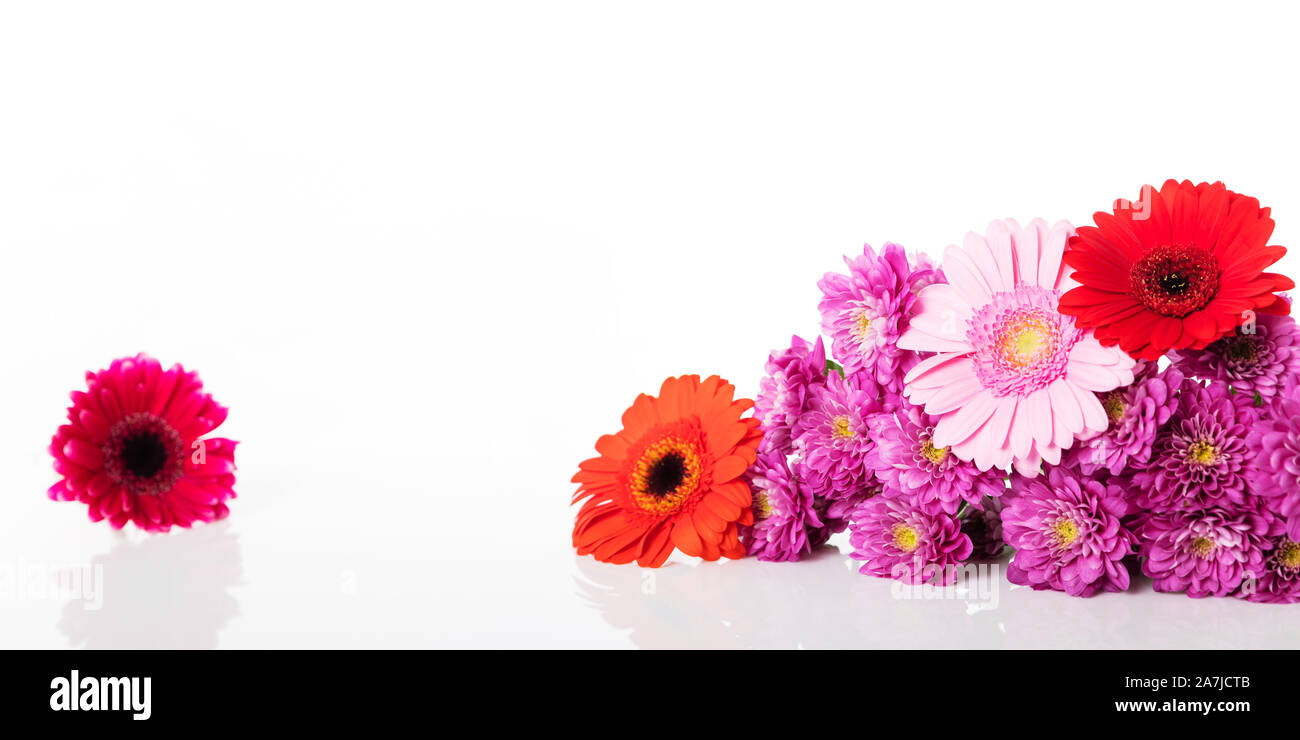 Banner con diversi fiori isolati su sfondo bianco Foto Stock