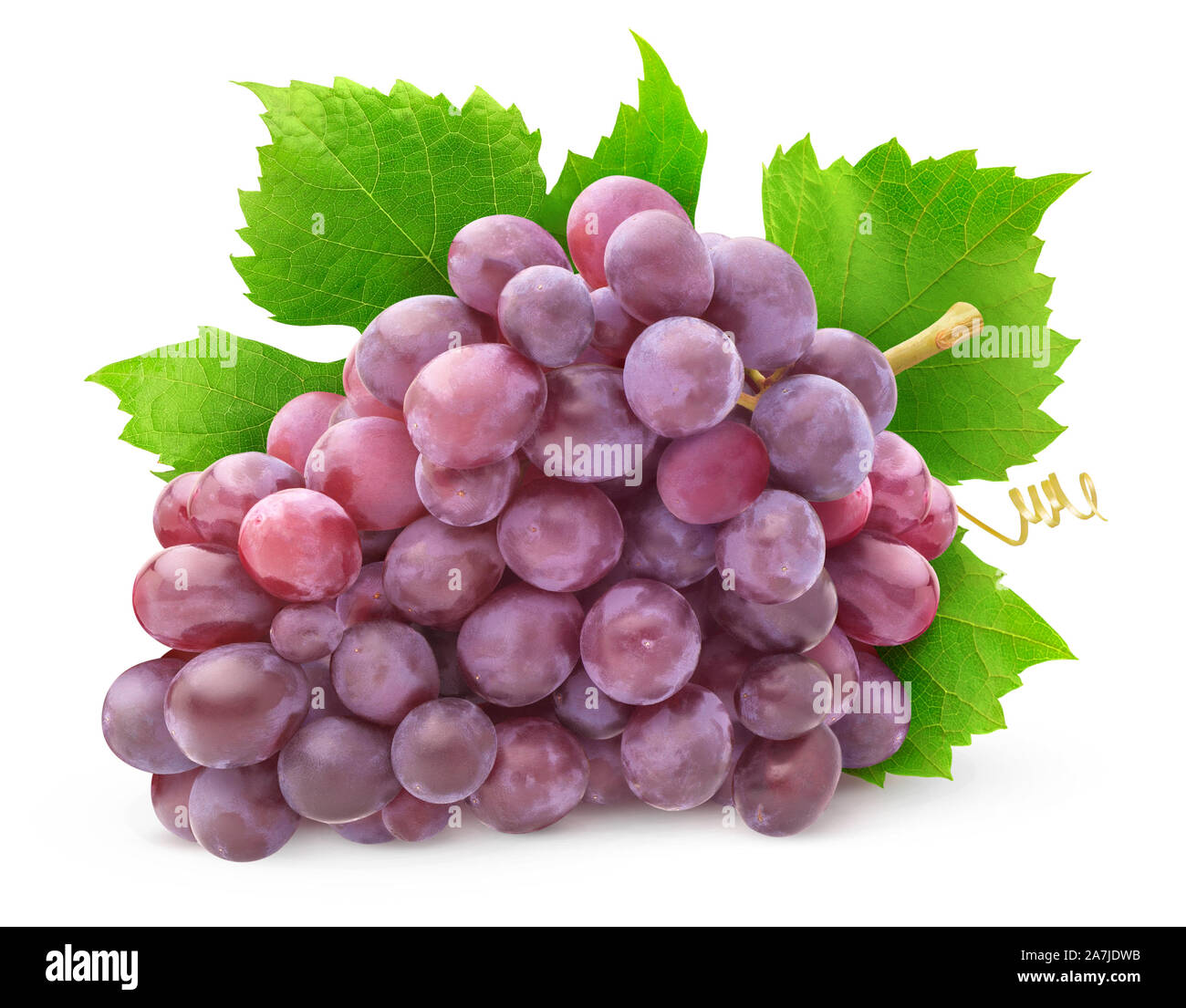 Uve isolato. Pila di uve di rose con foglie isolato su sfondo bianco con tracciato di ritaglio Foto Stock