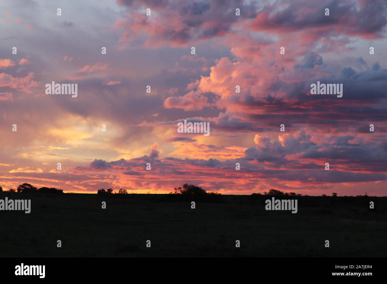Bel tramonto con cielo rosa, nella savana africana. Foto Stock