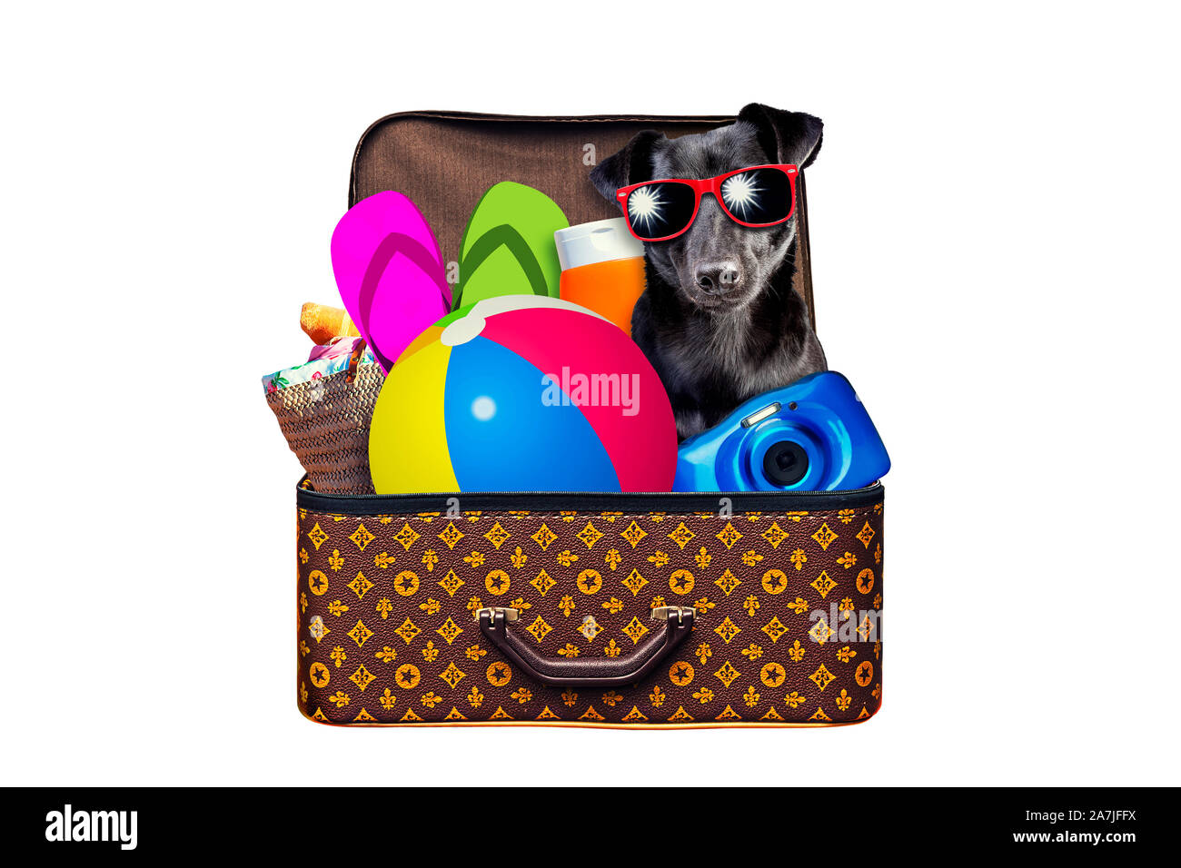 Piccolo Cane pranzo vintage valigia piena di elementi per le vacanze estive viaggi, vacanze, viaggi e viaggio isolato su bianco Foto Stock