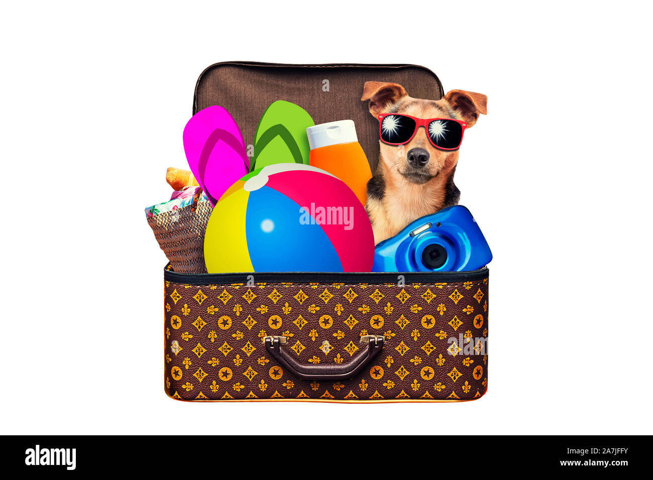 Piccolo Cane pranzo vintage valigia piena di elementi per le vacanze estive viaggi, vacanze, viaggi e viaggio isolato su bianco Foto Stock