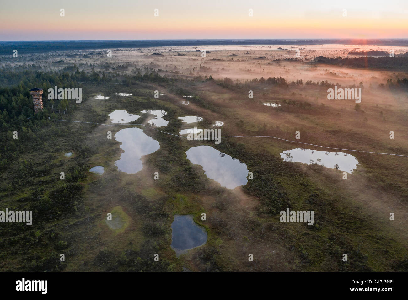 Sunrise nel paesaggio della torbiera. Misty marsh, laghi natura sfondo ambiente Foto Stock
