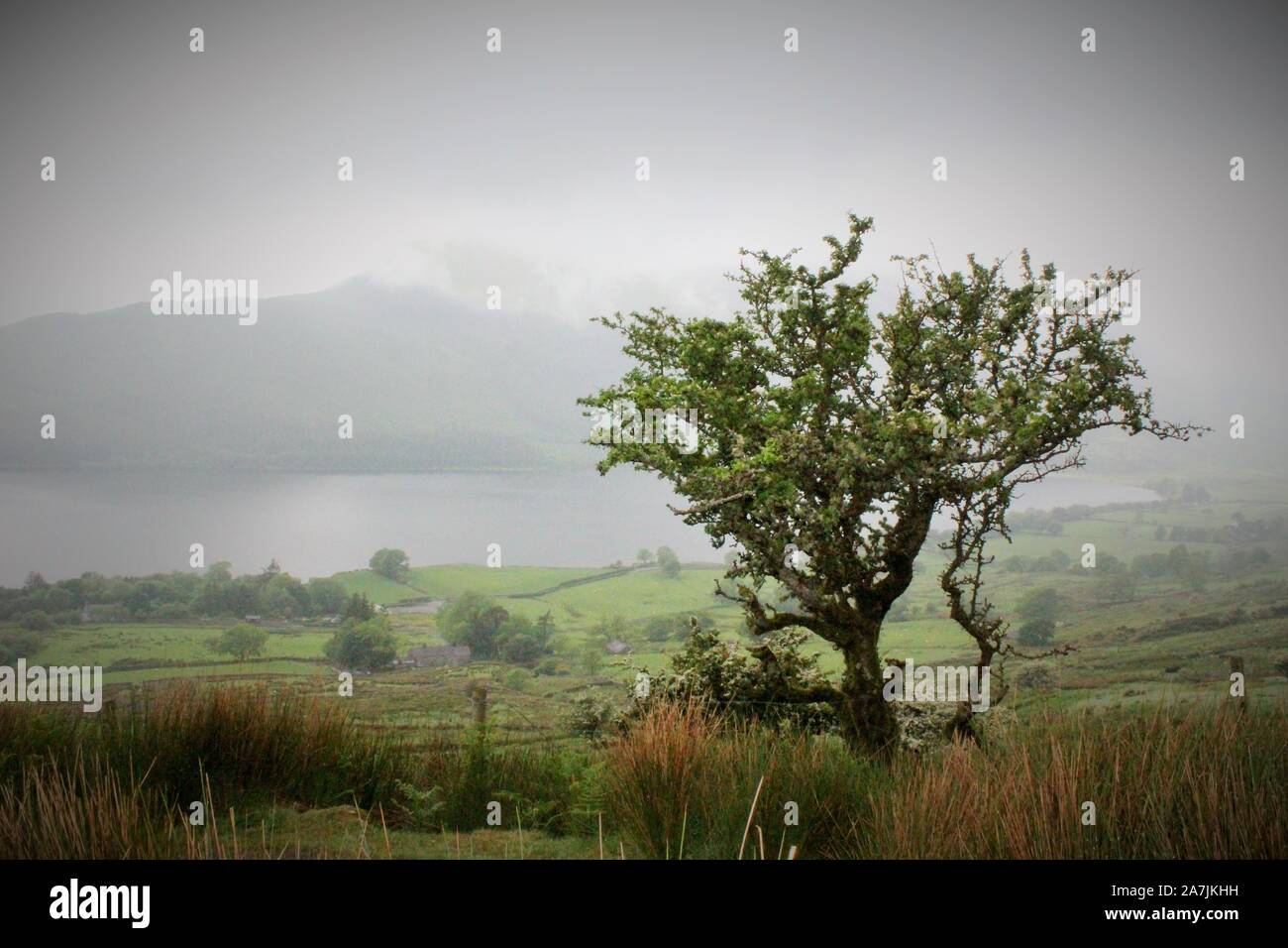 Snowdonia Foto Stock