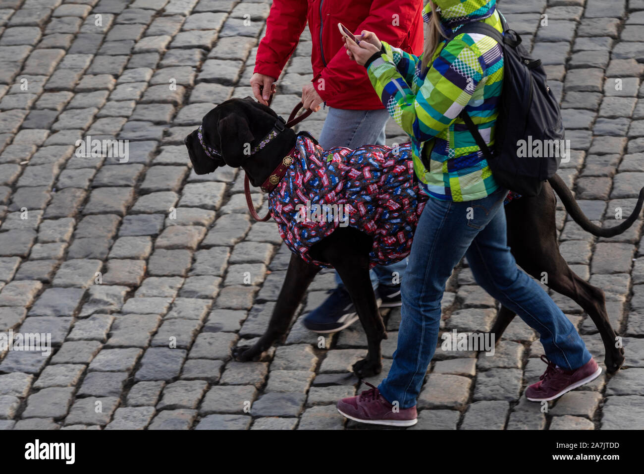 La gente a piedi con un cane su una strada in un freddo giorno Foto Stock