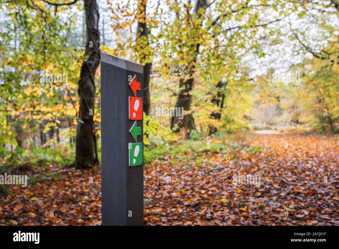 Circolare a piedi cartello su un sentiero attraverso il bosco in Monmouthshire, Galles. Foto Stock