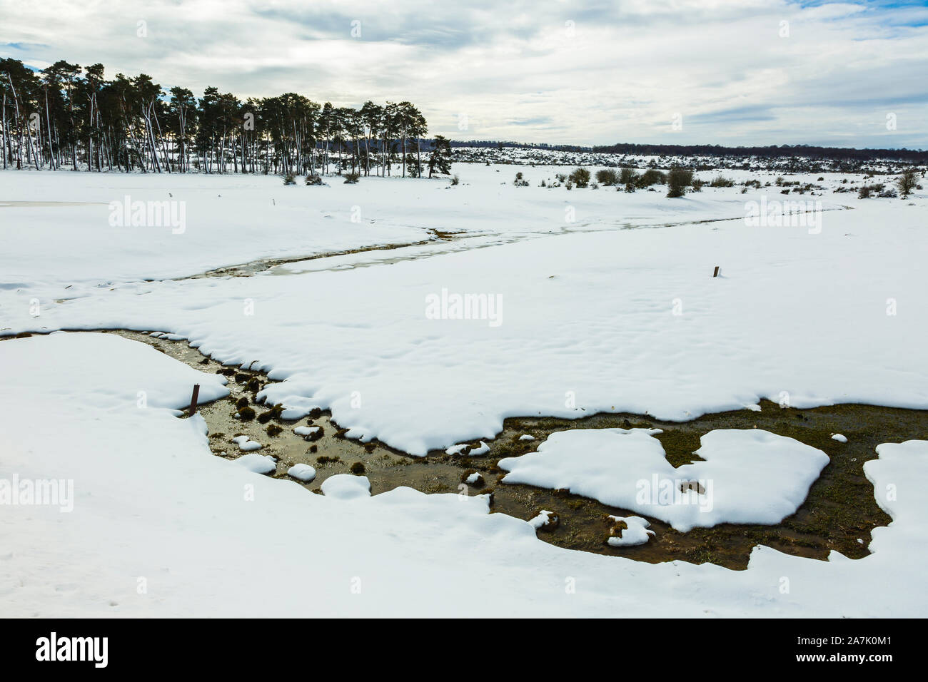 Paesaggio della prateria in inverno. Foto Stock