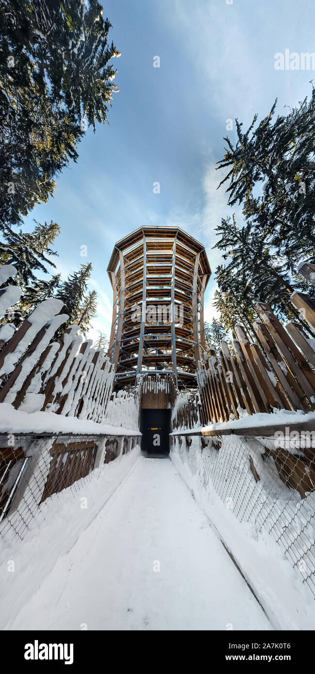 Tree Top Walk in Janske Lazne. Alta torre per i turisti a piedi nella foresta di Krkonose d'inverno. Il sentiero di legname. Treetop walkway tower in ceco Foto Stock