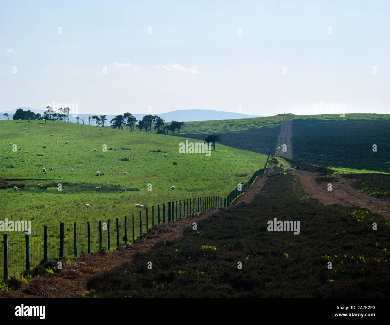 Visualizzare WSW all'età del Bronzo summit barrow sul bordo di Creigiau Eglwyseg carbonifero scarpata di calcare, Llangollen, Denbighshire, Wales, Regno Unito. Foto Stock