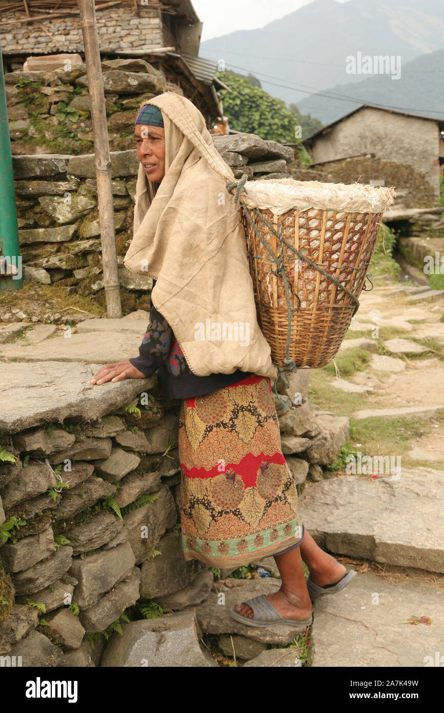 Una donna che indossa tradizionale costume Gurung, Sikles, regione di Annapurna, Nepal Foto Stock