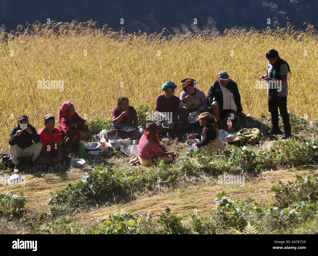 I lavoratori in un campo per prendersi una pausa, Sikles, Nepal Foto Stock