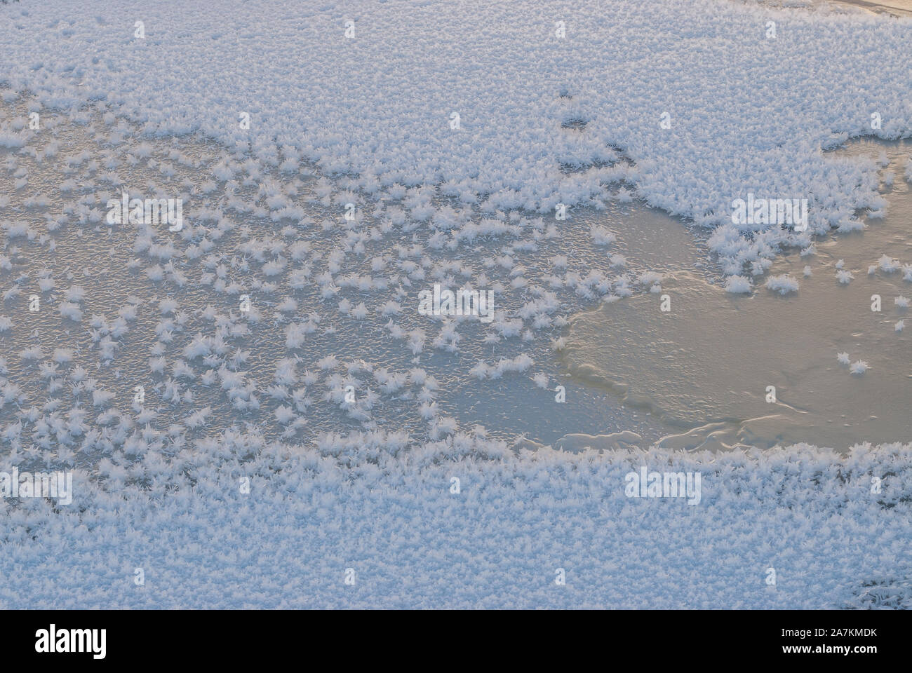 I cristalli di ghiaccio sul flusso di surgelati, Scotland, Regno Unito. Foto Stock