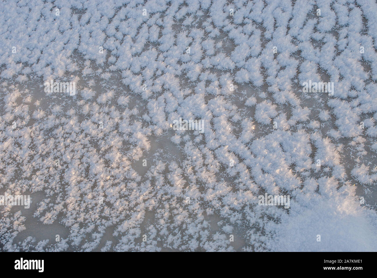I cristalli di ghiaccio sul flusso di surgelati, Scotland, Regno Unito. Foto Stock