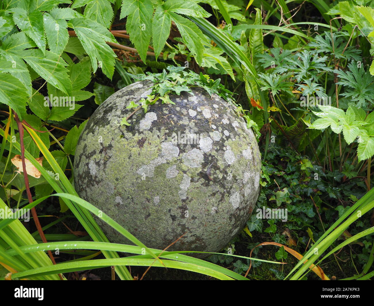 Funzione di angolo del giardino sommerso a Chenies Manor. Un vecchio cemento sfera circondata da edera, fogliame e con venature grigio e verde lichene. Foto Stock