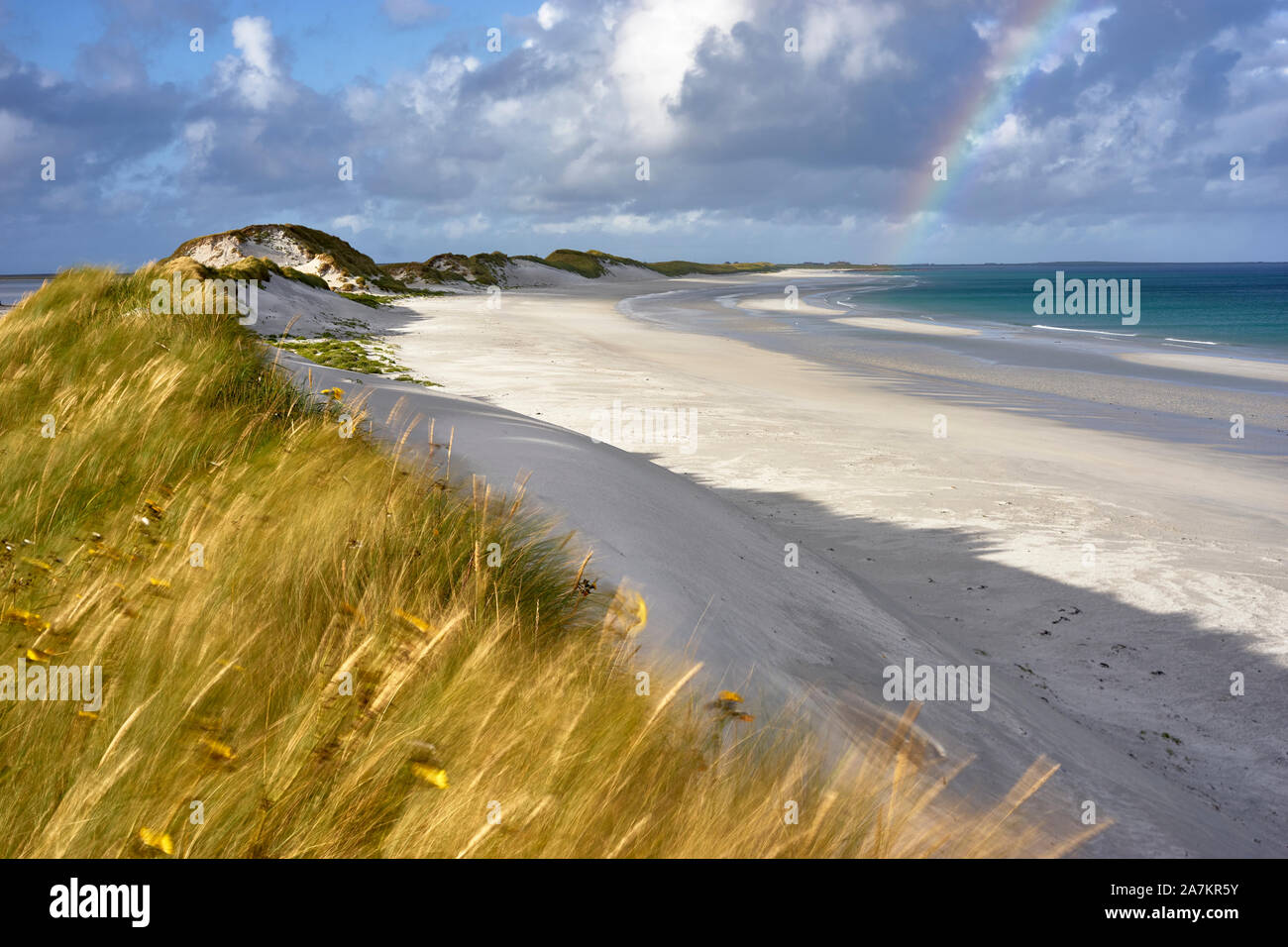 Marram erba e dune di sabbia, Tres Ness spiaggia nella baia di Newark, Sanday, isole Orcadi, Scozia Foto Stock