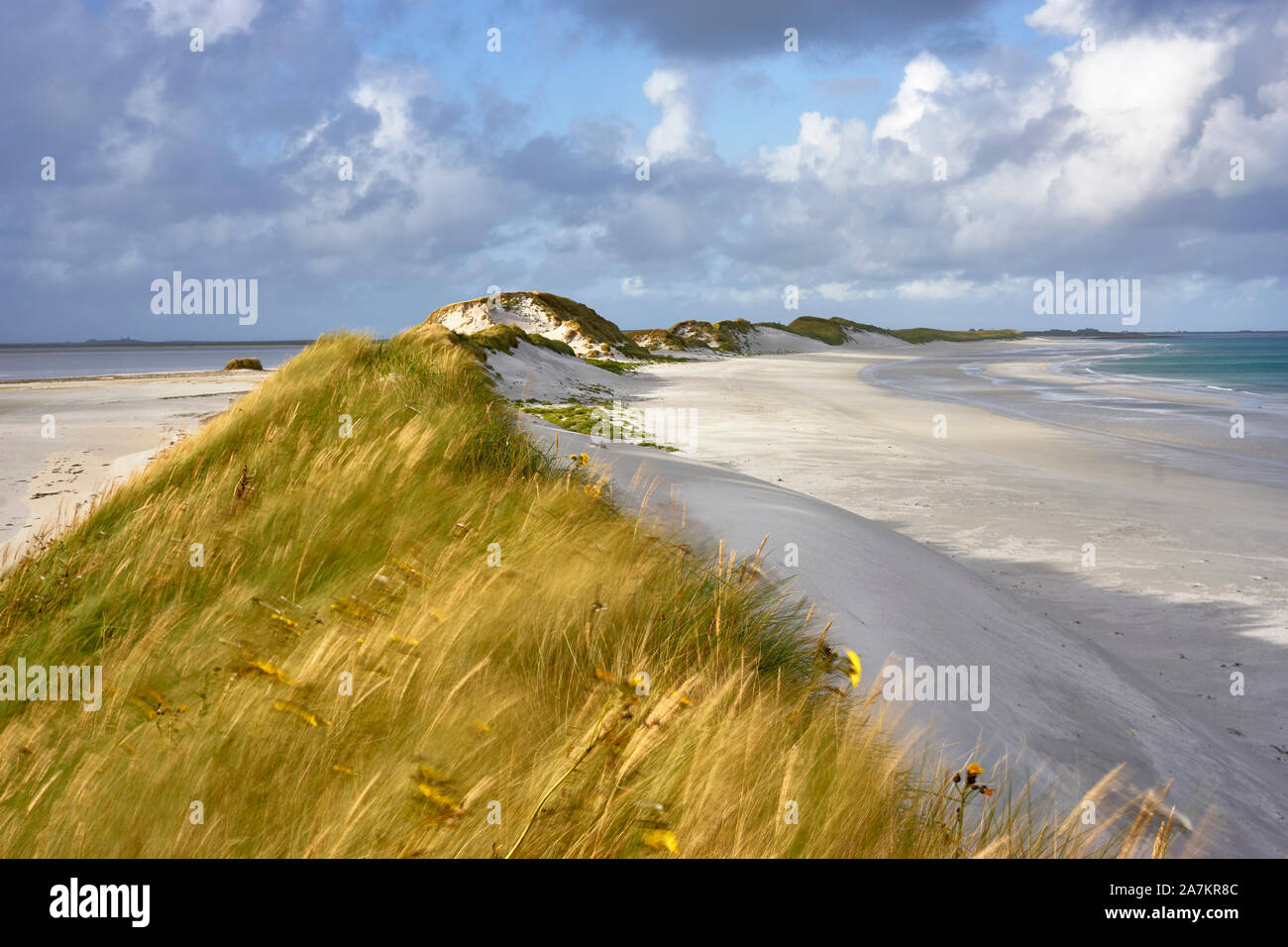 Marram erba e dune di sabbia, Tres Ness spiaggia nella baia di Newark, Sanday, isole Orcadi, Scozia Foto Stock