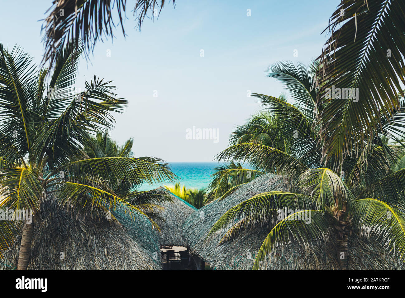 Bungalows in riva al mare tra gli alberi di cocco, vuoto spiaggia sabbia bianca vuota di lettini relax tra la giungla Foto Stock
