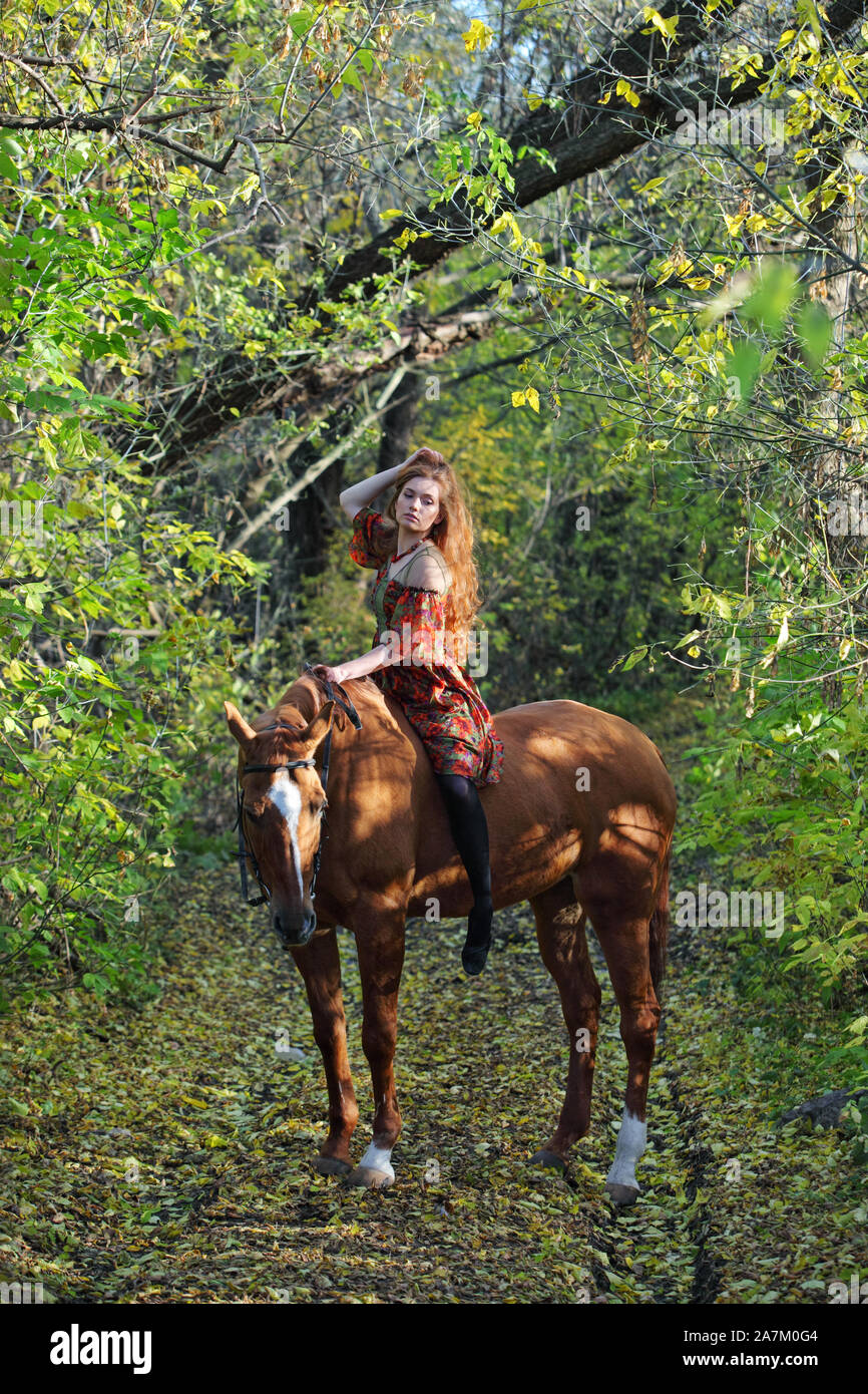 Bel paese ragazza bareback cavalcare il suo cavallo in autunno country road al tramonto Foto Stock