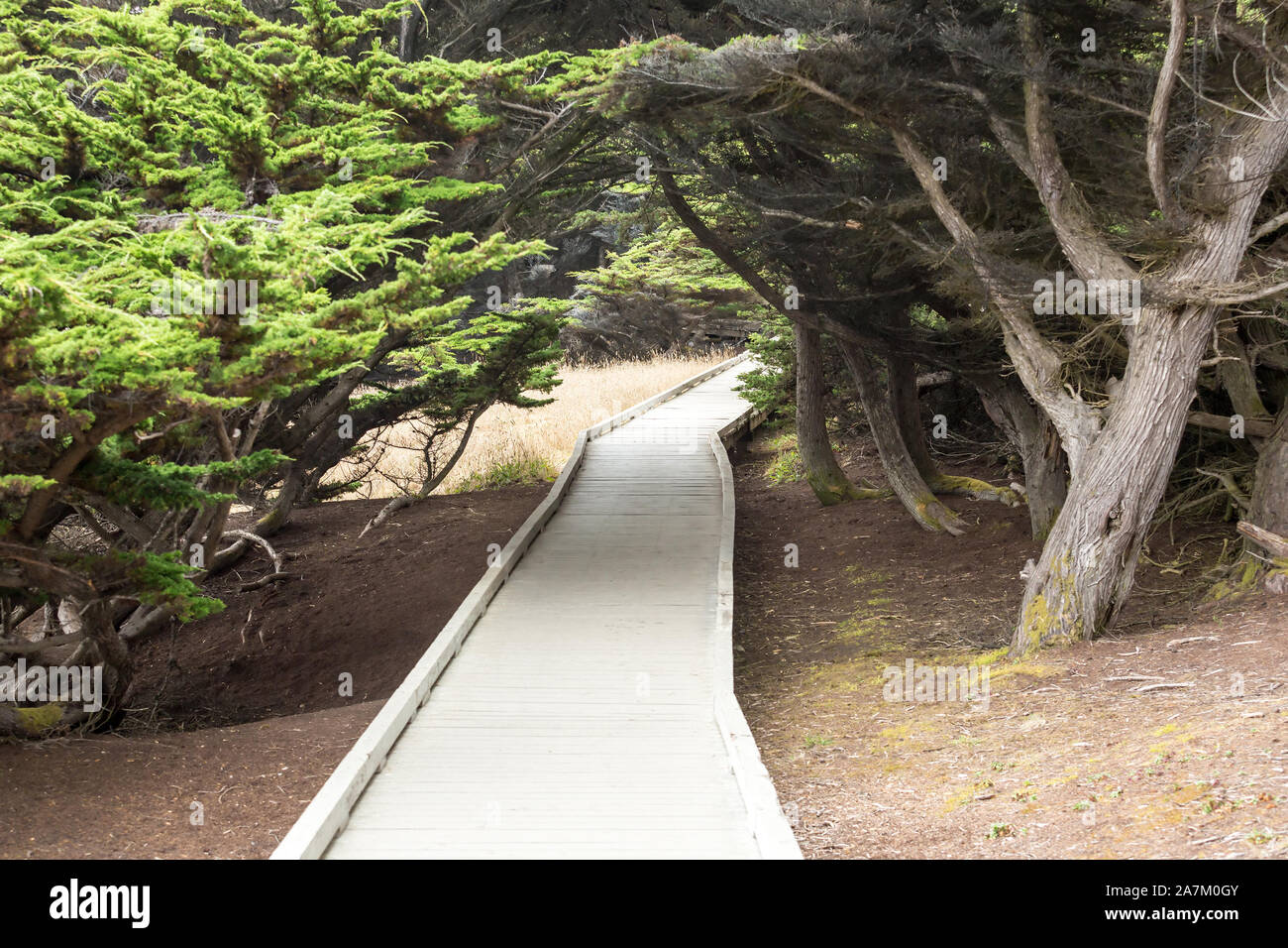 Vuoto passerella in legno che conduce alla spiaggia Foto Stock