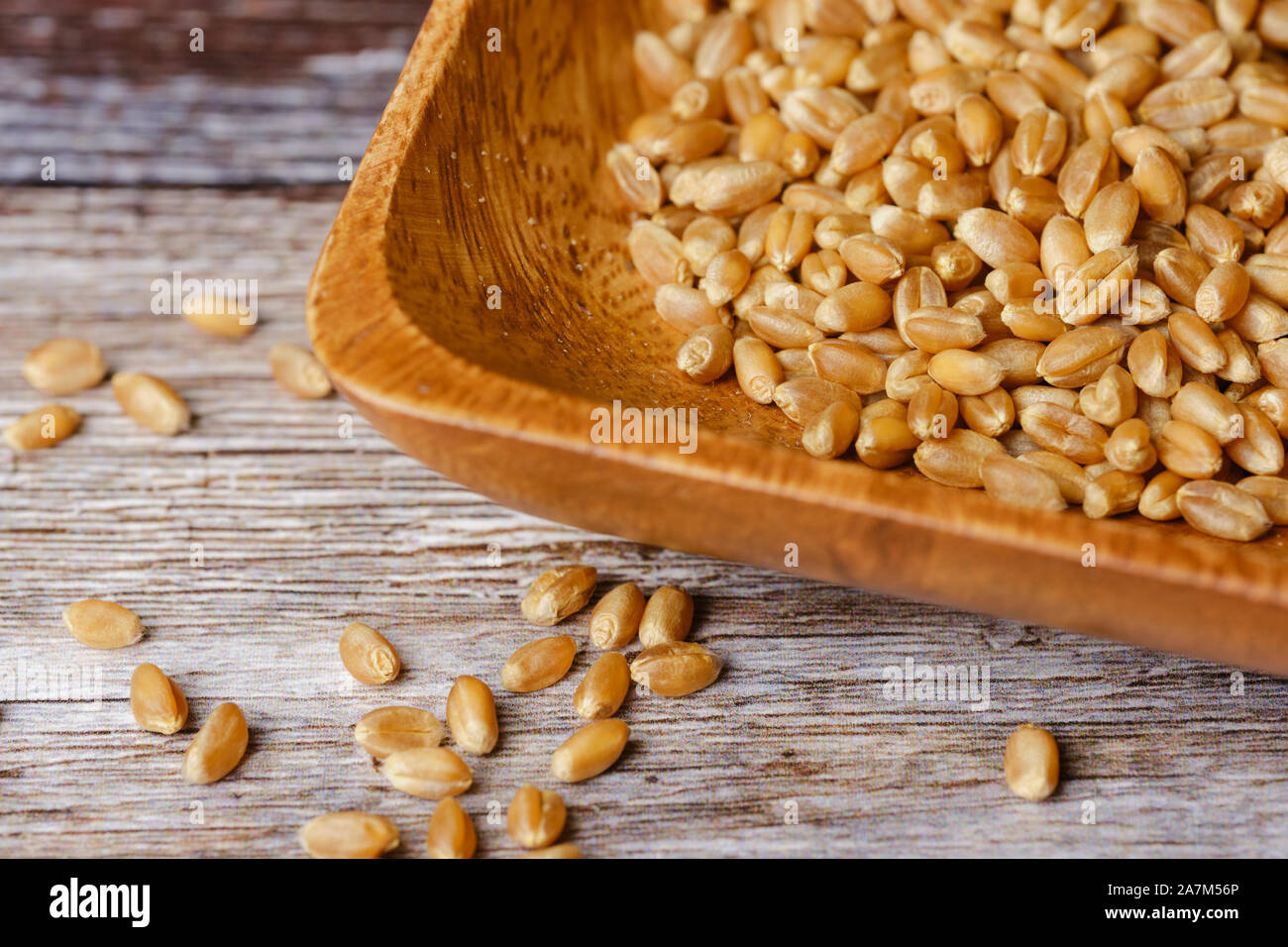 Chicchi di grano in una ciotola di legno su una superficie di legno Foto Stock