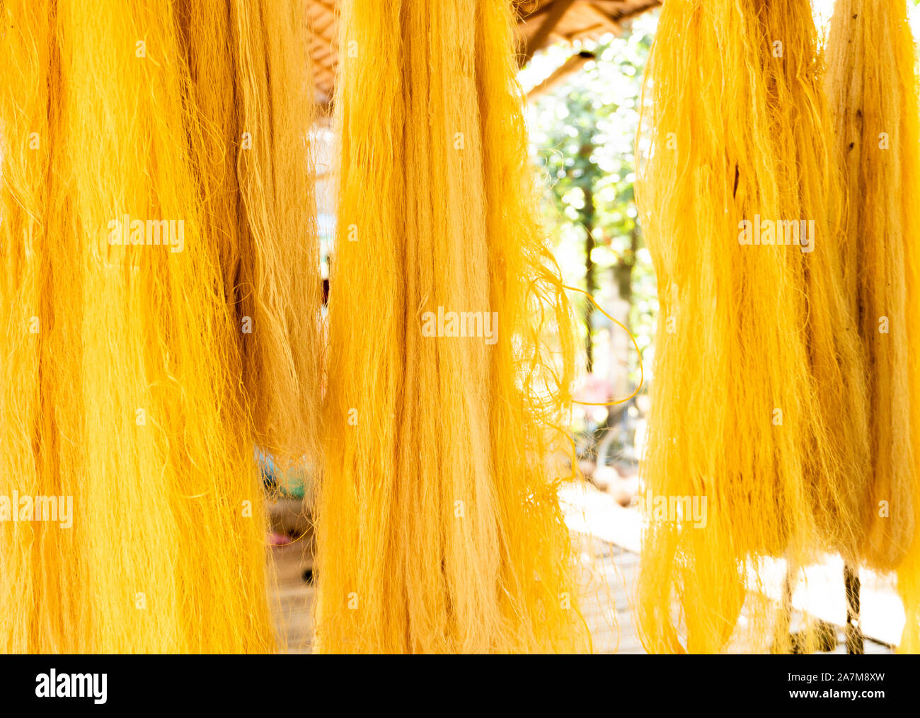 Seta dorata in seta isola, Cambogia. Giugno 2018 Foto Stock