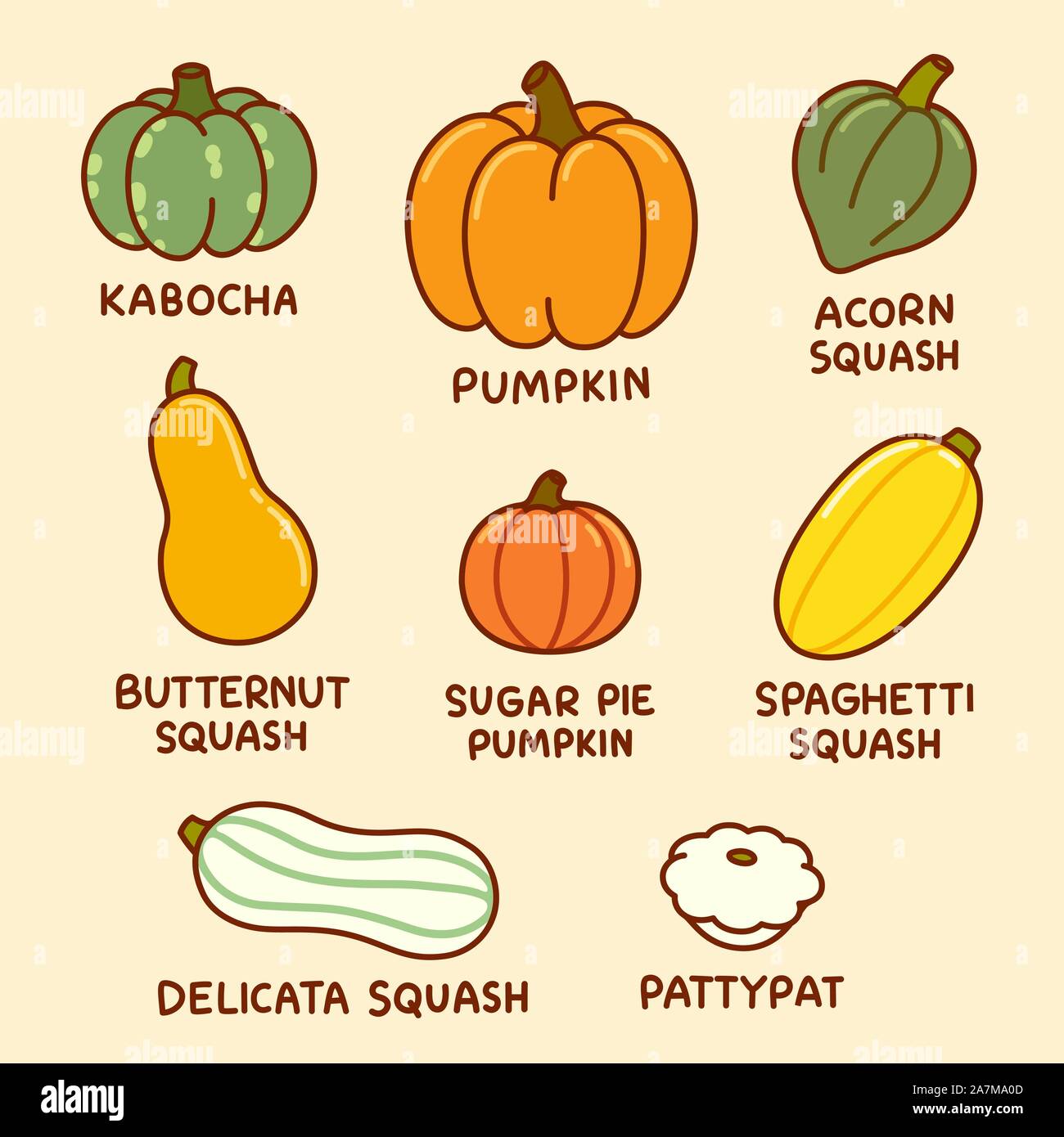 Infografico Cartoon disegno di diversi tipi di zucca e squash. Autumn harvest verdure, vector clip art illustrazione set. Illustrazione Vettoriale