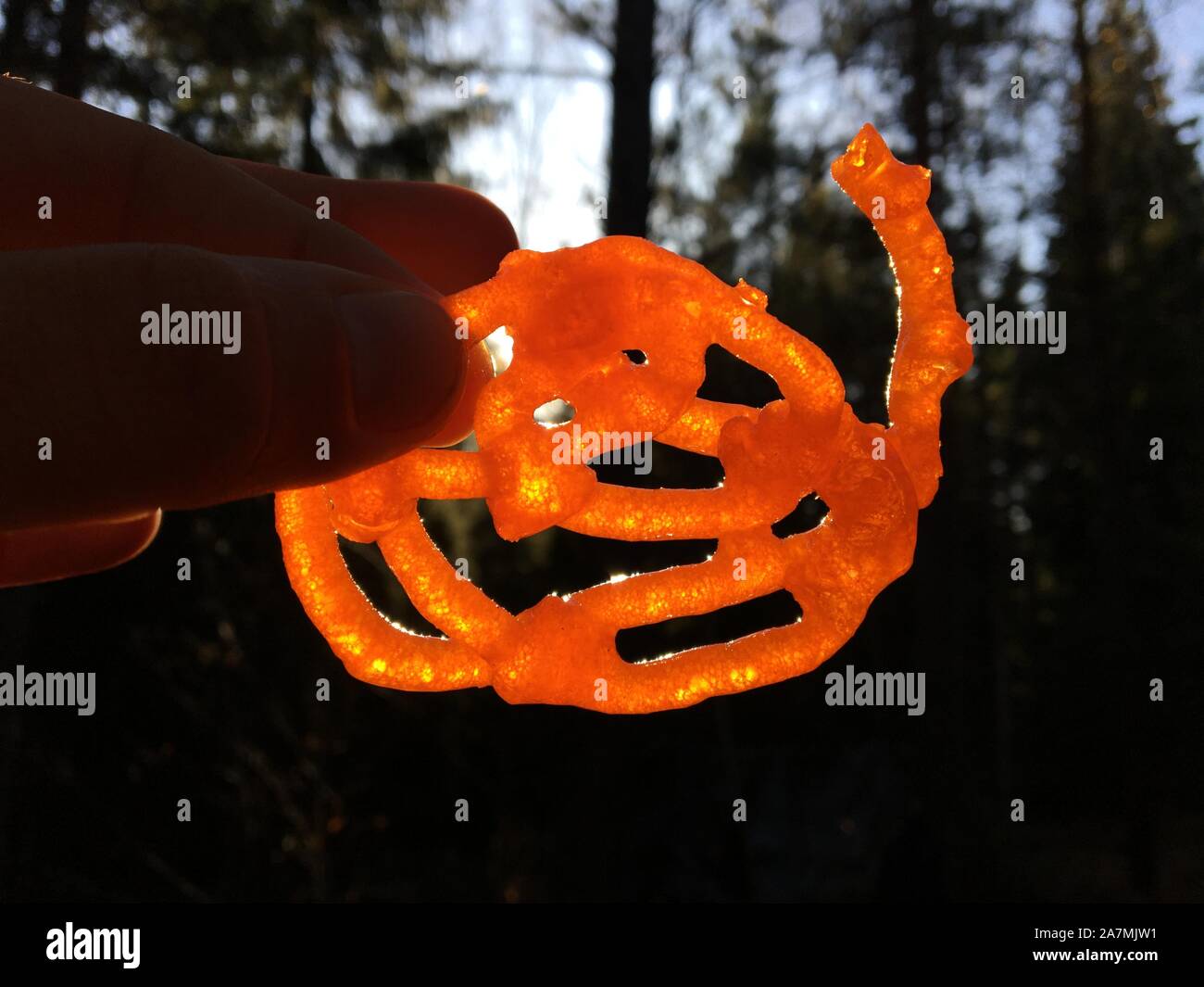 Immagine ravvicinata di un delizioso pezzo di Jalebi o Zulbia o Zalabia, un dolce Indiano/ dessert e popolare alimenti riscontrato in tutto il Sud Asia e Medio Oriente Foto Stock