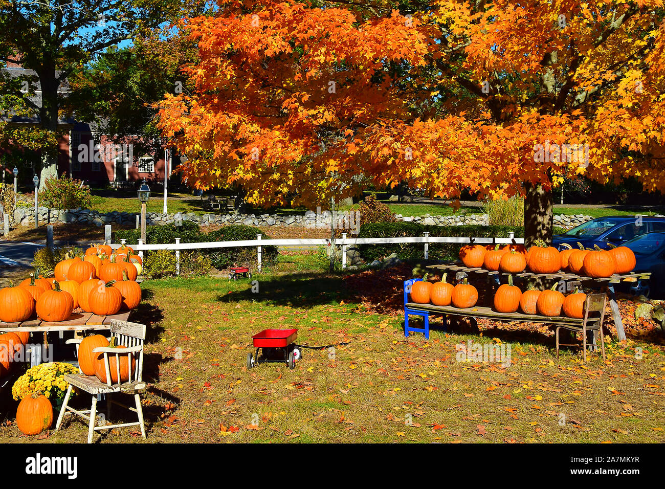 Supporto di zucca in Massachusetts Foto Stock