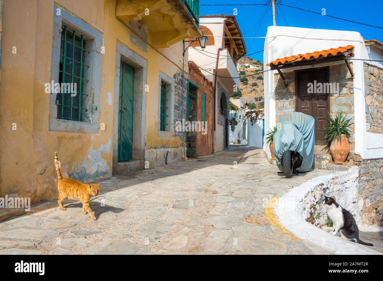 Strada stretta con coloratissime case di pietra nel vecchio villaggio di Pano Elounda, Creta, Grecia. Foto Stock