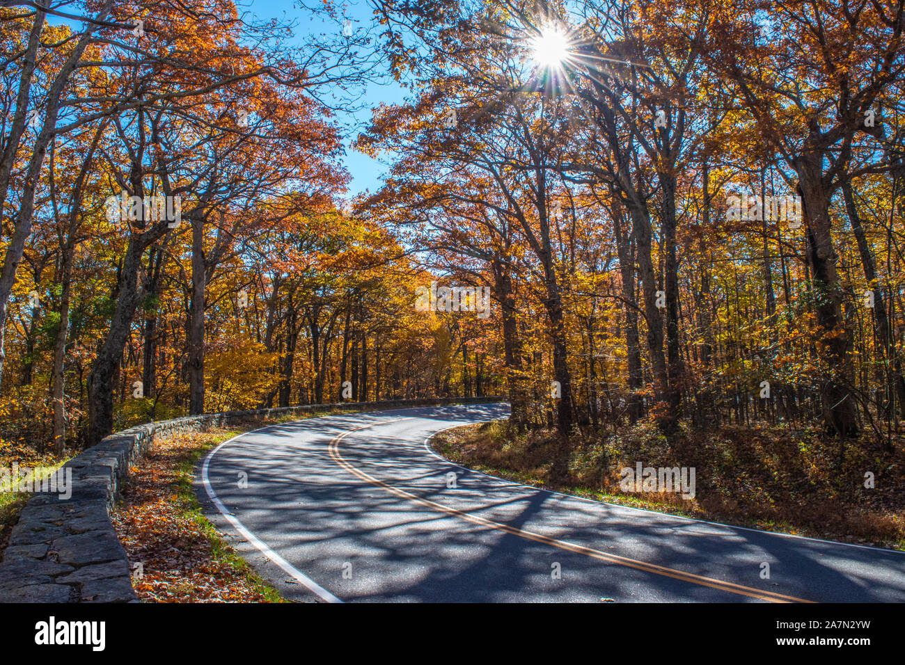 Autunno a colori sugli alberi lungo la strada tortuosa Foto Stock