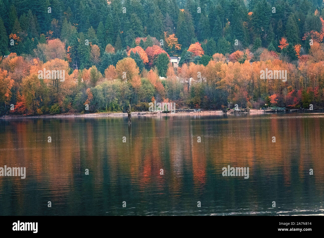 Foresta di bel rosso e giallo autunno alberi riflettendo in acqua calma in posizione di parcheggio Foto Stock