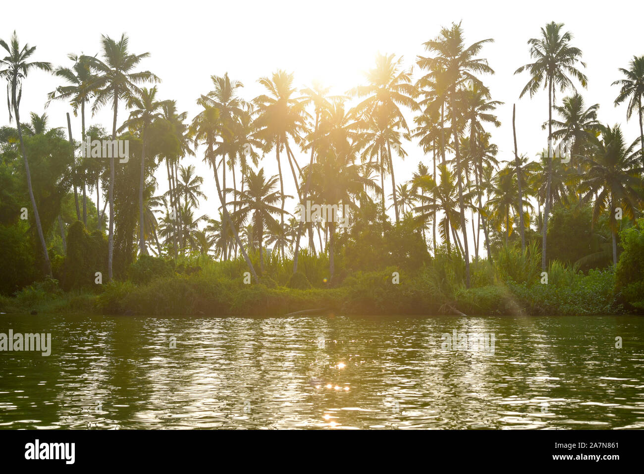 Bel tramonto dietro le lagune in Kerala Foto Stock