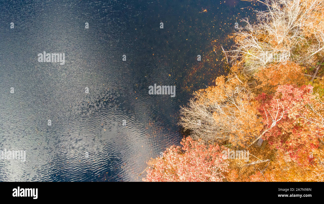 Immagini di caduta dell'est Stati Uniti Foto Stock