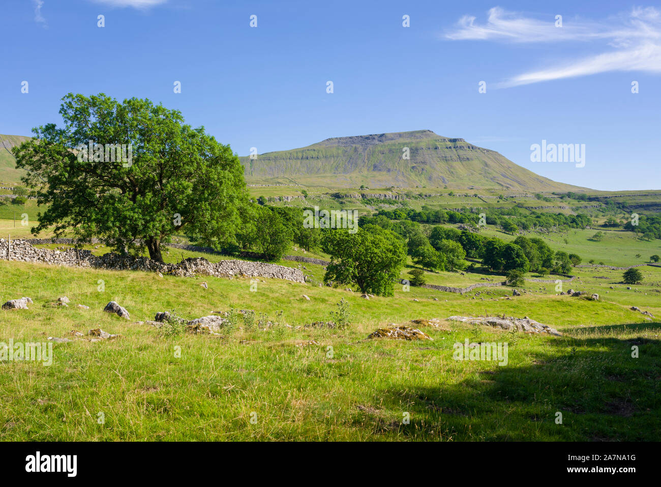 Ingleborough nel Yorkshire Dales National Park, North Yorkshire nei pressi di Cappella-le-Dale, Inghilterra. Foto Stock