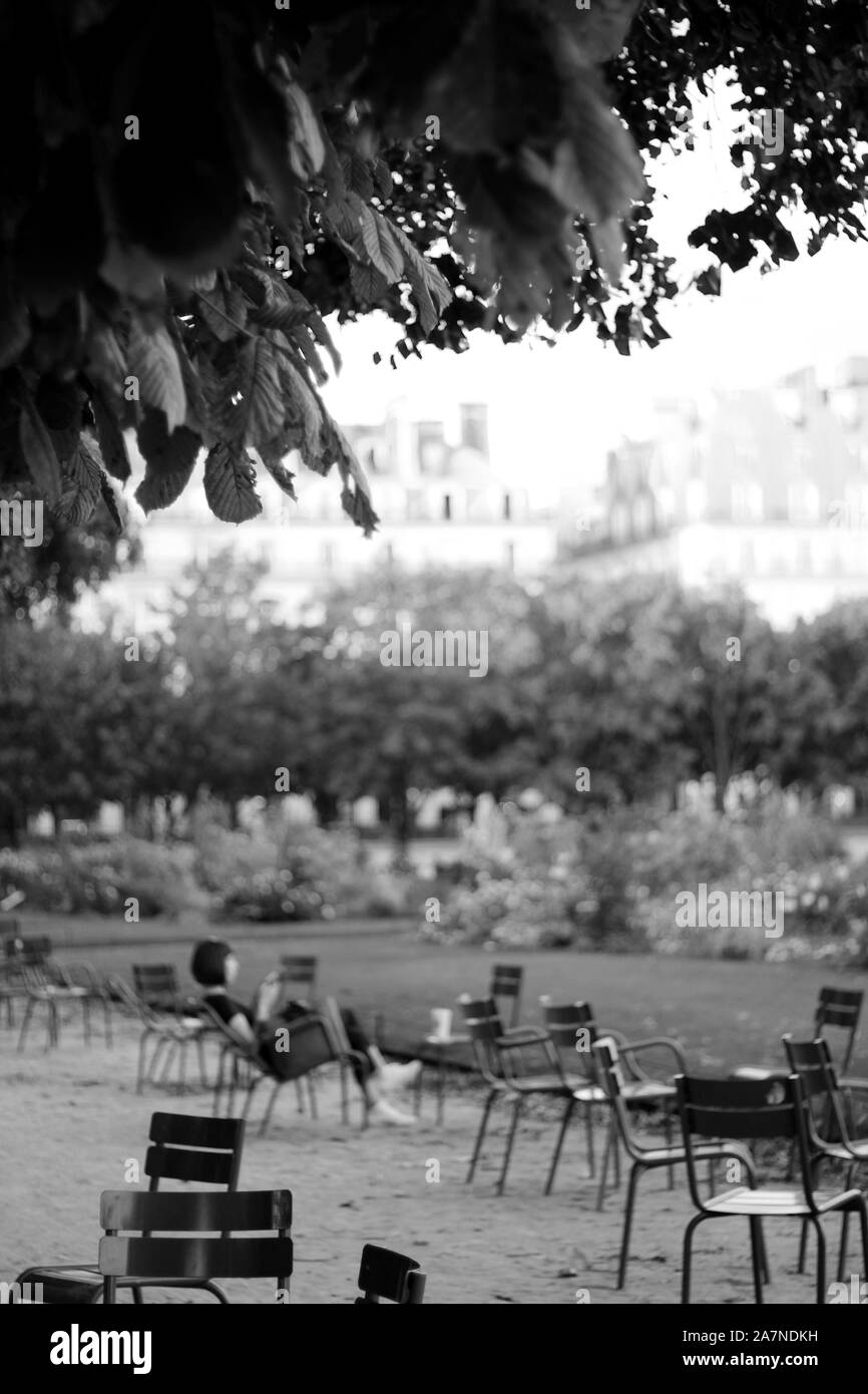 The Tuileries Garden Alley Abstract Blurry View. Caduta A Parigi, Francia. Foto Stock