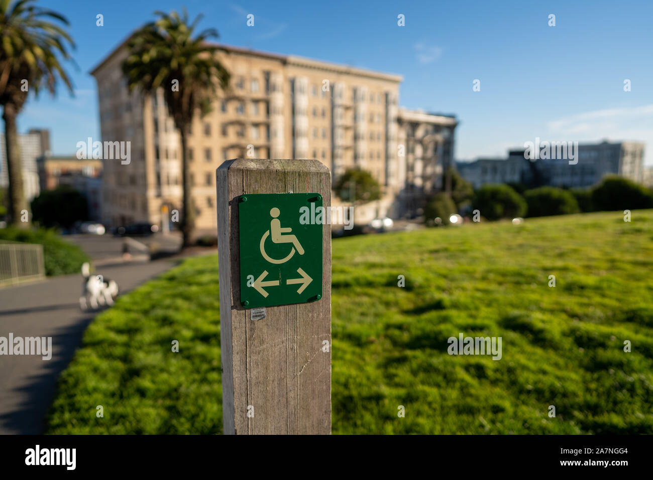 Il logo di handicap sedia a rotelle sul palo di legno nel parco cittadino con le frecce rivolte a destra e a sinistra Foto Stock