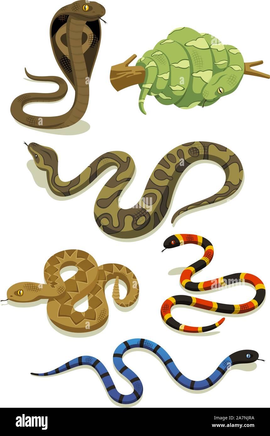 Vector cartoon set di serpente Illustrazione Vettoriale