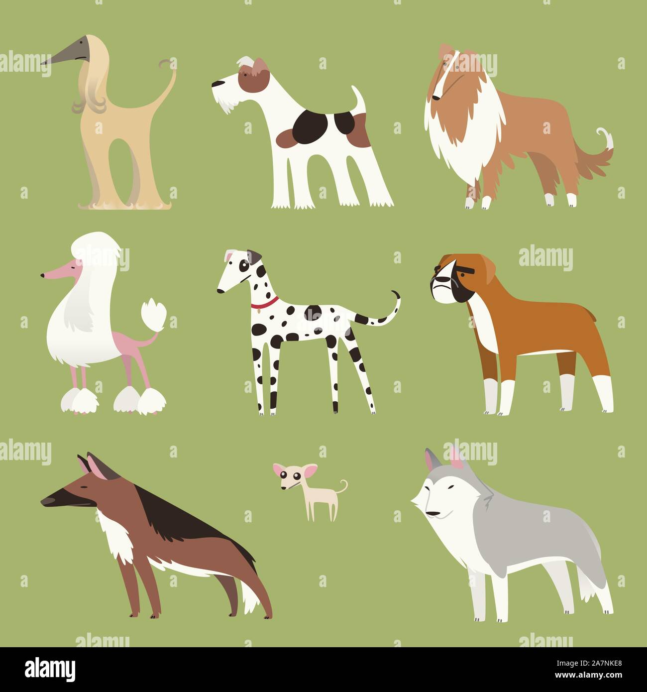 Di pura razza mostra il cane cucciolo di cane cucciolo pet raccolta, con nove cani di differenti razze in piedi che guarda in telecamera illustrazione vettoriale. Illustrazione Vettoriale