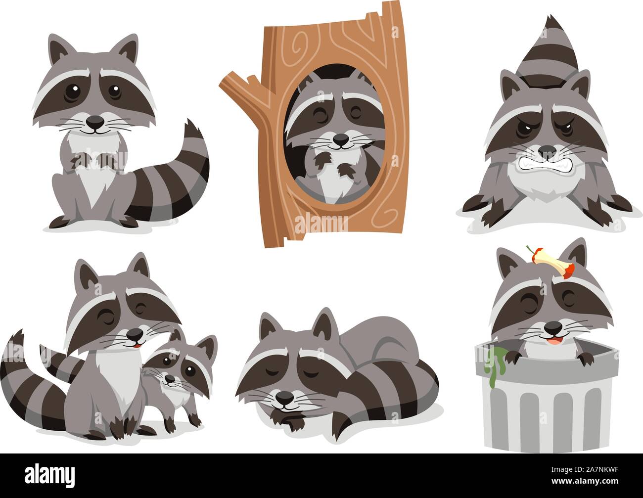 Procione procioni Set, con piedi raccoon, raccoon all'interno albero, arrabbiato raccoon, famiglia Procione, dormendo raccoon e raccoon all'interno del cestino. Vettore Illustrazione Vettoriale