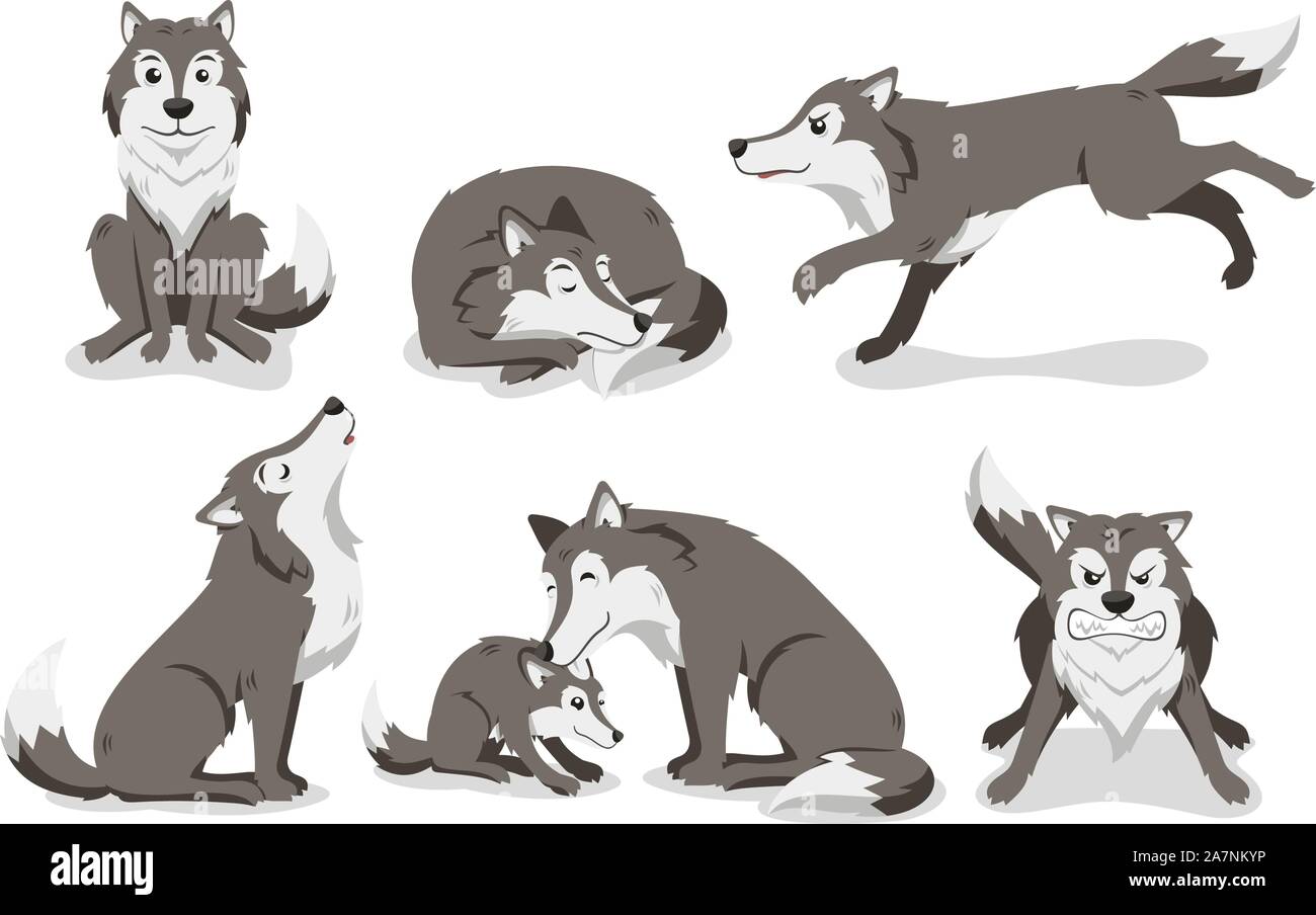 Set di lupo, con Lupo permanente, dormendo Wolf, esecuzione di lupo, urlando Wolf e arrabbiato Wolf. Illustrazione Vettoriale cartoon. Illustrazione Vettoriale
