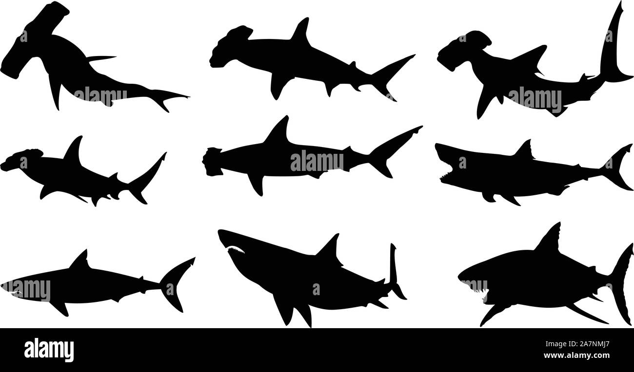 Shark vettore silhouette Illustrazione Vettoriale
