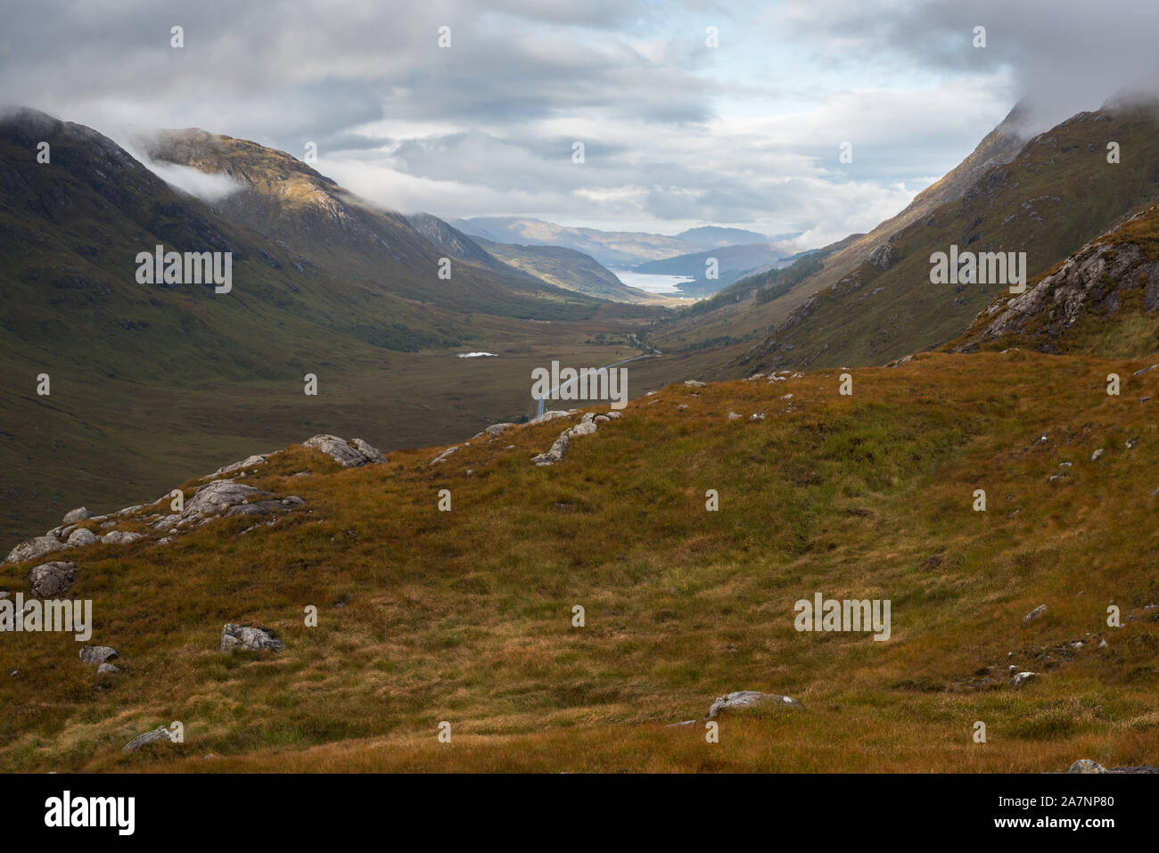 Glen Tarbert e Loch Sunart, Ardgour, Scozia Foto Stock