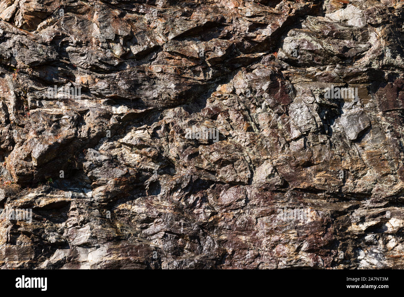 Bagnate il lato montagna contesto roccioso dopo le recenti piogge. Foto Stock